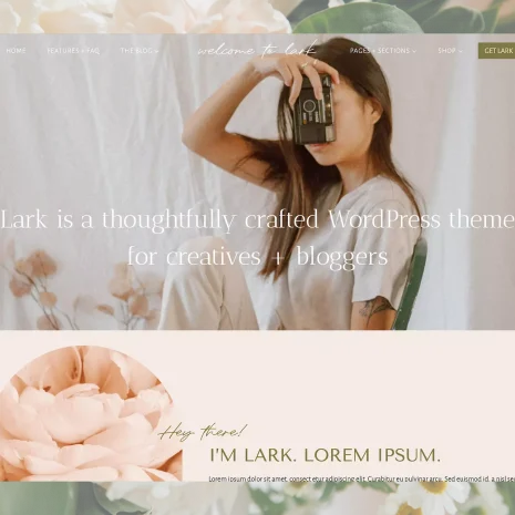 Image of the Lark WordPress theme homepage